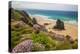 Bedruthan Steps, Newquay, Cornwall, England, United Kingdom-Billy Stock-Premier Image Canvas