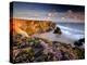 Bedruthan Steps on Cornish Coast, with Flowering Thrift, Cornwall, UK-Ross Hoddinott-Premier Image Canvas