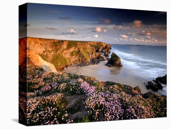 Bedruthan Steps on Cornish Coast, with Flowering Thrift, Cornwall, UK-Ross Hoddinott-Premier Image Canvas