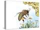 Bee Anatomy, Artwork-Jose Antonio-Premier Image Canvas