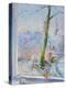 Beech Tree and Haw Frost, 1989-Timothy Easton-Premier Image Canvas