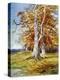 Beech Tree, Autumn, 1900-John MacWhirter-Premier Image Canvas