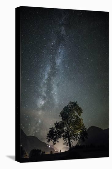 Beech with the Milky Way in the Background-Niki Haselwanter-Premier Image Canvas