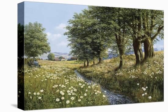 Beeches And Daisies-Bill Makinson-Premier Image Canvas