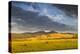 Beef Cattle Graze in Farm Pasture, Sunrise, Tobacco Root Mountains, Montana, USA-Chuck Haney-Premier Image Canvas