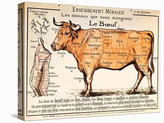 Beef: Diagram Depicting the Different Cuts of Meat (Colour Litho)-French School-Premier Image Canvas