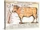 Beef: Diagram Depicting the Different Cuts of Meat-null-Premier Image Canvas