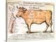 Beef: Diagram Depicting the Different Cuts of Meat-null-Premier Image Canvas