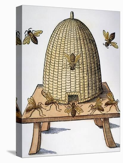 Beehive, 1658-null-Premier Image Canvas