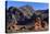 Beehives area, Valley of Fire State Park, Overton, Nevada, United States of America, North America-Richard Cummins-Premier Image Canvas