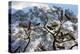 Beehives on acacia tree, Arba Minch, Southern Nations, Ethiopia-Keren Su-Premier Image Canvas