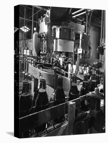 Beer Bottles Being Filled at Ward and Sons, Swinton, South Yorkshire, 1960-Michael Walters-Premier Image Canvas