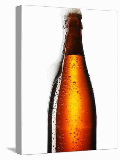 Beer Frothing Out of Bottle-Kröger & Gross-Premier Image Canvas