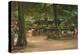 Beer Garden, 1905 (Oil on Board)-Max Liebermann-Premier Image Canvas