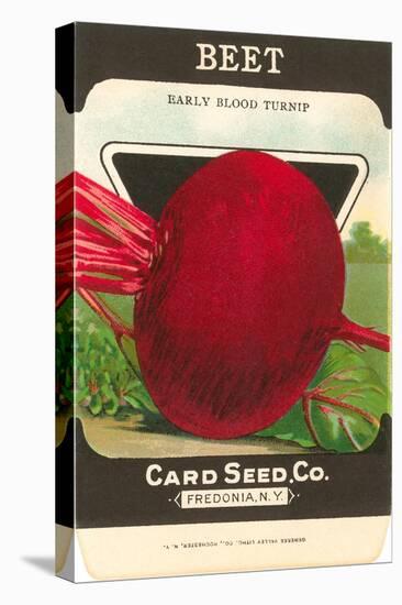 Beet Seed Packet-null-Stretched Canvas