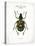 Beetle IV-Gwendolyn Babbitt-Stretched Canvas