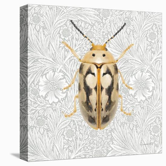 Beetles and Butterflies III-Danhui Nai-Stretched Canvas