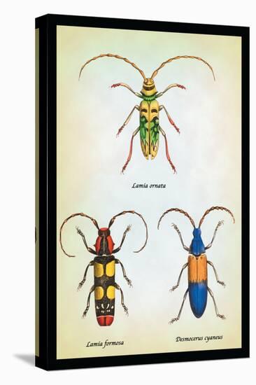 Beetles: Lamia Ornata, L. Formosa and Desmocerus Cyaneus-Sir William Jardine-Stretched Canvas