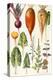 Beetroot and Other Vegetables-Elizabeth Rice-Premier Image Canvas