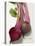 Beetroot with Leaves, One Halved, Close-Up-null-Premier Image Canvas