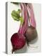 Beetroot with Leaves, One Halved, Close-Up-null-Premier Image Canvas