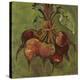 Beets-Suzanne Etienne-Stretched Canvas