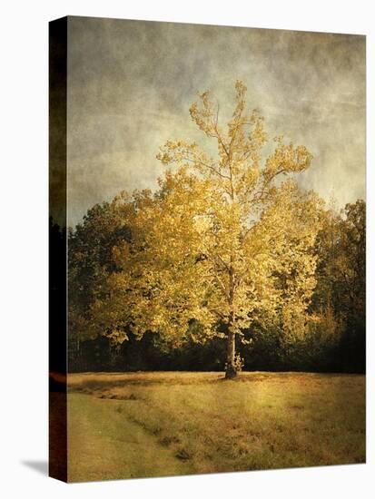 Beginning of Autumn-Jai Johnson-Premier Image Canvas