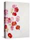 Begonia Semperflorens, Blossoms, Pink, Red, White, Yellow-Axel Killian-Premier Image Canvas