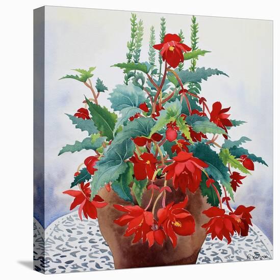 Begonia-Christopher Ryland-Premier Image Canvas