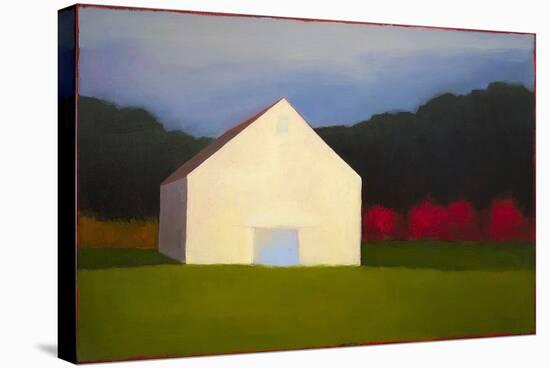 Behind the Blue Door-Tracy Helgeson-Stretched Canvas