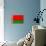 Belarus Flag Design with Wood Patterning - Flags of the World Series-Philippe Hugonnard-Stretched Canvas displayed on a wall