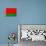 Belarus Flag Design with Wood Patterning - Flags of the World Series-Philippe Hugonnard-Stretched Canvas displayed on a wall