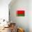 Belarus Flag Design with Wood Patterning - Flags of the World Series-Philippe Hugonnard-Stretched Canvas displayed on a wall