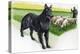 Belgian Sheepdog (Canis Lupus Familiaris) Guarding Flock-null-Premier Image Canvas