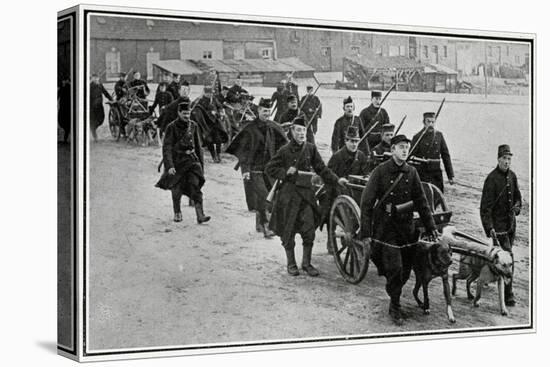 Belgian Troops with Dogs-null-Stretched Canvas