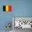 Belgium Flag Design with Wood Patterning - Flags of the World Series-Philippe Hugonnard-Stretched Canvas displayed on a wall