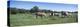 Belgium Horses Grazing in Field, Jordan, Scott County, Minnesota, Usa-null-Premier Image Canvas