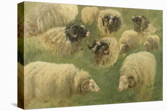 Béliers et moutons à tête noire, 10 esquisses-Rosa Bonheur-Premier Image Canvas