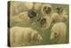 Béliers et moutons à tête noire, 10 esquisses-Rosa Bonheur-Premier Image Canvas
