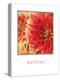 Believe Flowers-Maureen Love-Premier Image Canvas