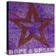 Believe Hope Dream-Suzanna Anna-Stretched Canvas
