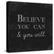 Believe You Can and You Will-Evangeline Taylor-Stretched Canvas