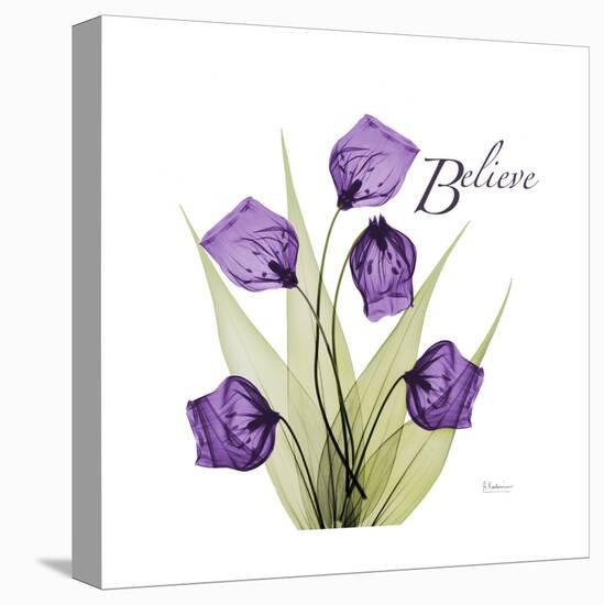 Believe-Albert Koetsier-Stretched Canvas