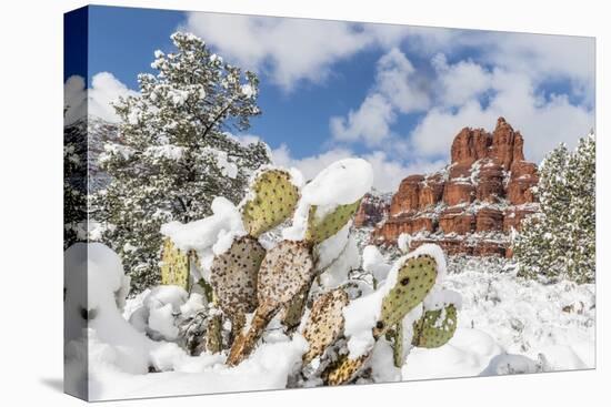 Bell Rock after a snow storm near Sedona, Arizona, United States of America, North America-Michael Nolan-Premier Image Canvas
