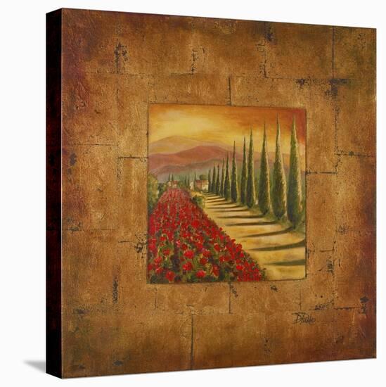 Bella Toscana I-Patricia Pinto-Stretched Canvas
