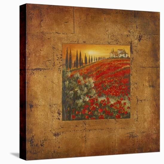 Bella Toscana II-Patricia Pinto-Stretched Canvas