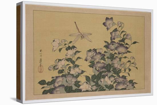 Bellflower and Dragonfly (Colour Woodblock Print)-Katsushika Hokusai-Premier Image Canvas