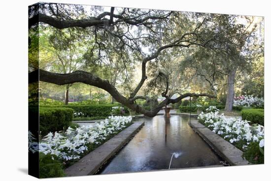 Bellingrath Gardens And Home-Carol Highsmith-Stretched Canvas