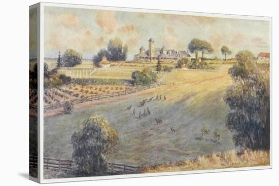 Belmont Park an Australian Station Homestead-Percy F.s. Spence-Stretched Canvas