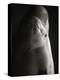 Beluga Whale-Henry Horenstein-Premier Image Canvas